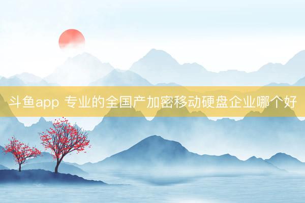 斗鱼app 专业的全国产加密移动硬盘企业哪个好
