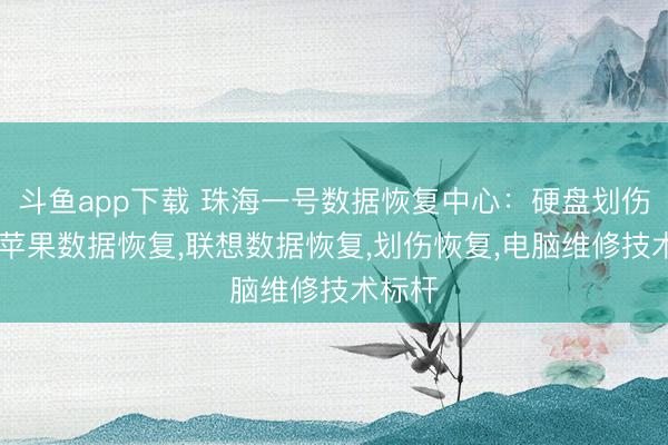 斗鱼app下载 珠海一号数据恢复中心:硬盘划伤恢复,苹果数据恢复,联想数据恢复,划伤恢复,电脑维修技术标杆