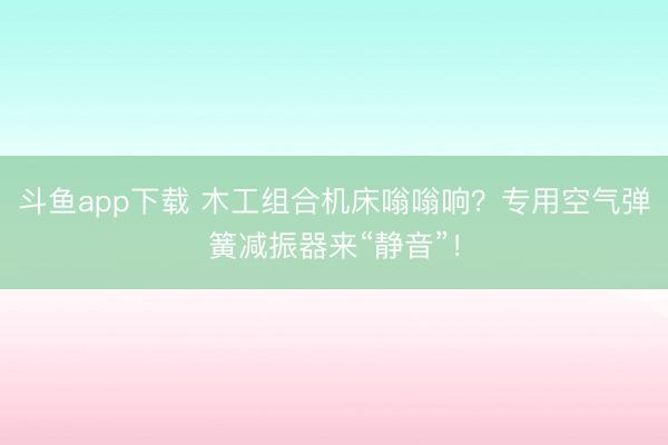 斗鱼app下载 木工组合机床嗡嗡响?专用空气弹簧减振器来“静音”!