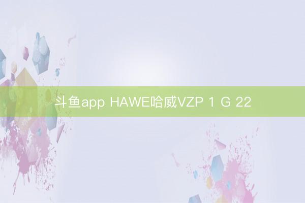 斗鱼app HAWE哈威VZP 1 G 22