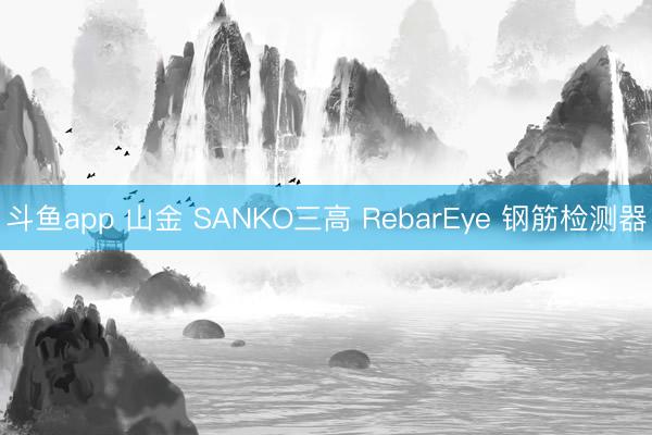 斗鱼app 山金 SANKO三高 RebarEye 钢筋检测器
