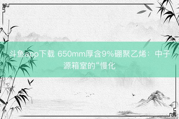 斗鱼app下载 650mm厚含9%硼聚乙烯:中子源箱室的“慢化