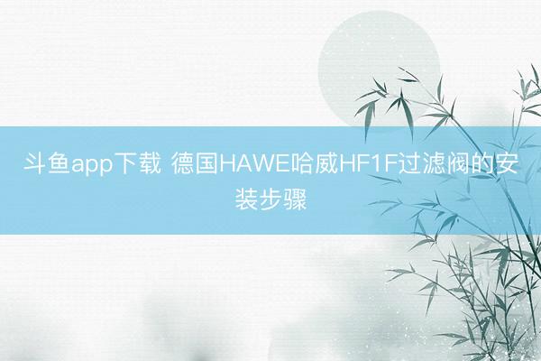 斗鱼app下载 德国HAWE哈威HF1F过滤阀的安装步骤