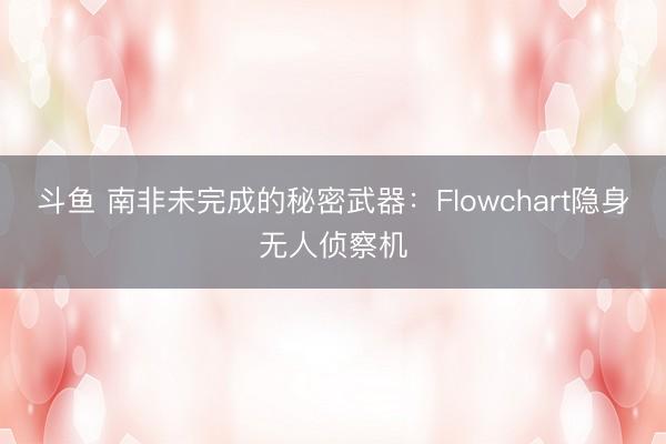 斗鱼 南非未完成的秘密武器:Flowchart隐身无人侦察机