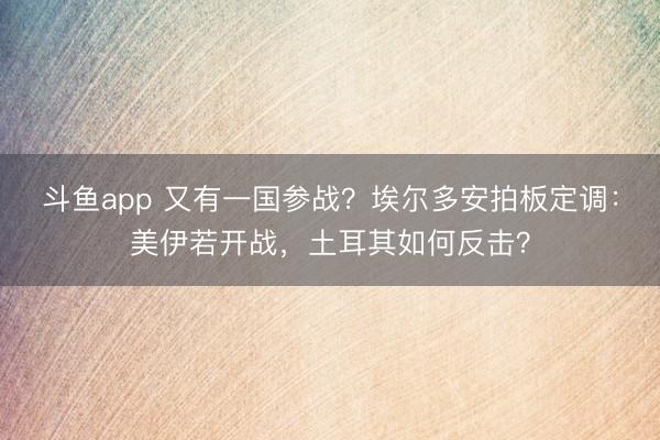 斗鱼app 又有一国参战?埃尔多安拍板定调:美伊若开战,土耳其如何反击?