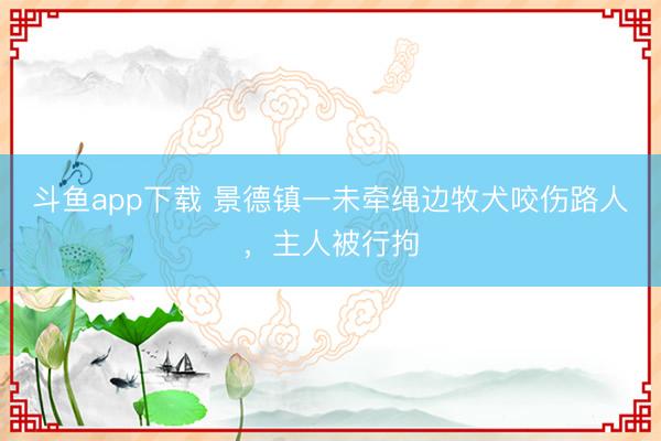 斗鱼app下载 景德镇一未牵绳边牧犬咬伤路人，主人被行拘