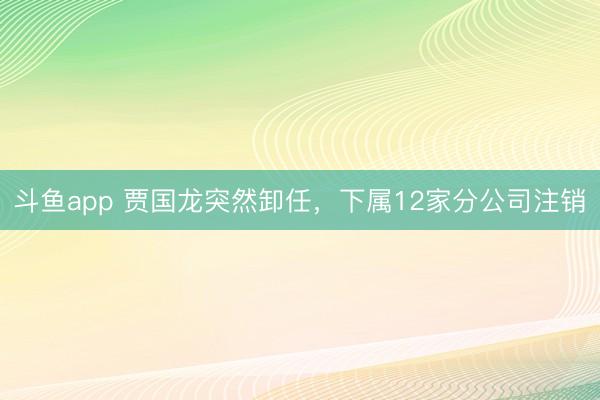 斗鱼app 贾国龙突然卸任，下属12家分公司注销
