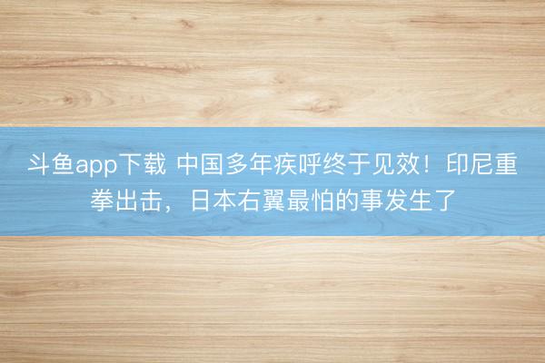 斗鱼app下载 中国多年疾呼终于见效!印尼重拳出击,日本右翼最怕的事发生了