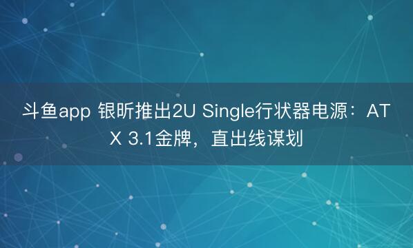 斗鱼app 银昕推出2U Single行状器电源：ATX 3.1金牌，直出线谋划
