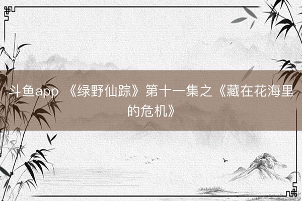 斗鱼app 《绿野仙踪》第十一集之《藏在花海里的危机》