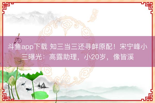 斗鱼app下载 知三当三还寻衅原配！宋宁峰小三曝光：高露助理，小20岁，像皆溪