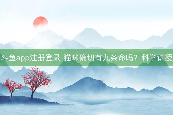 斗鱼app注册登录 猫咪确切有九条命吗？科学讲授