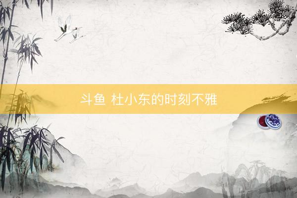 斗鱼 杜小东的时刻不雅