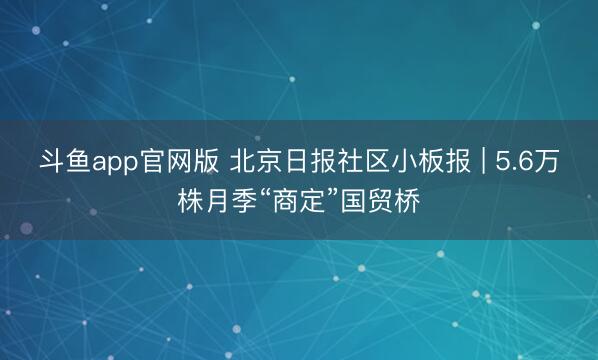 斗鱼app官网版 北京日报社区小板报 | 5.6万株月季“商定”国贸桥