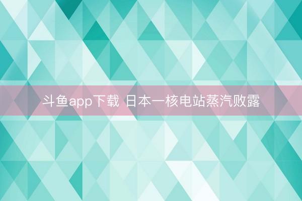 斗鱼app下载 日本一核电站蒸汽败露